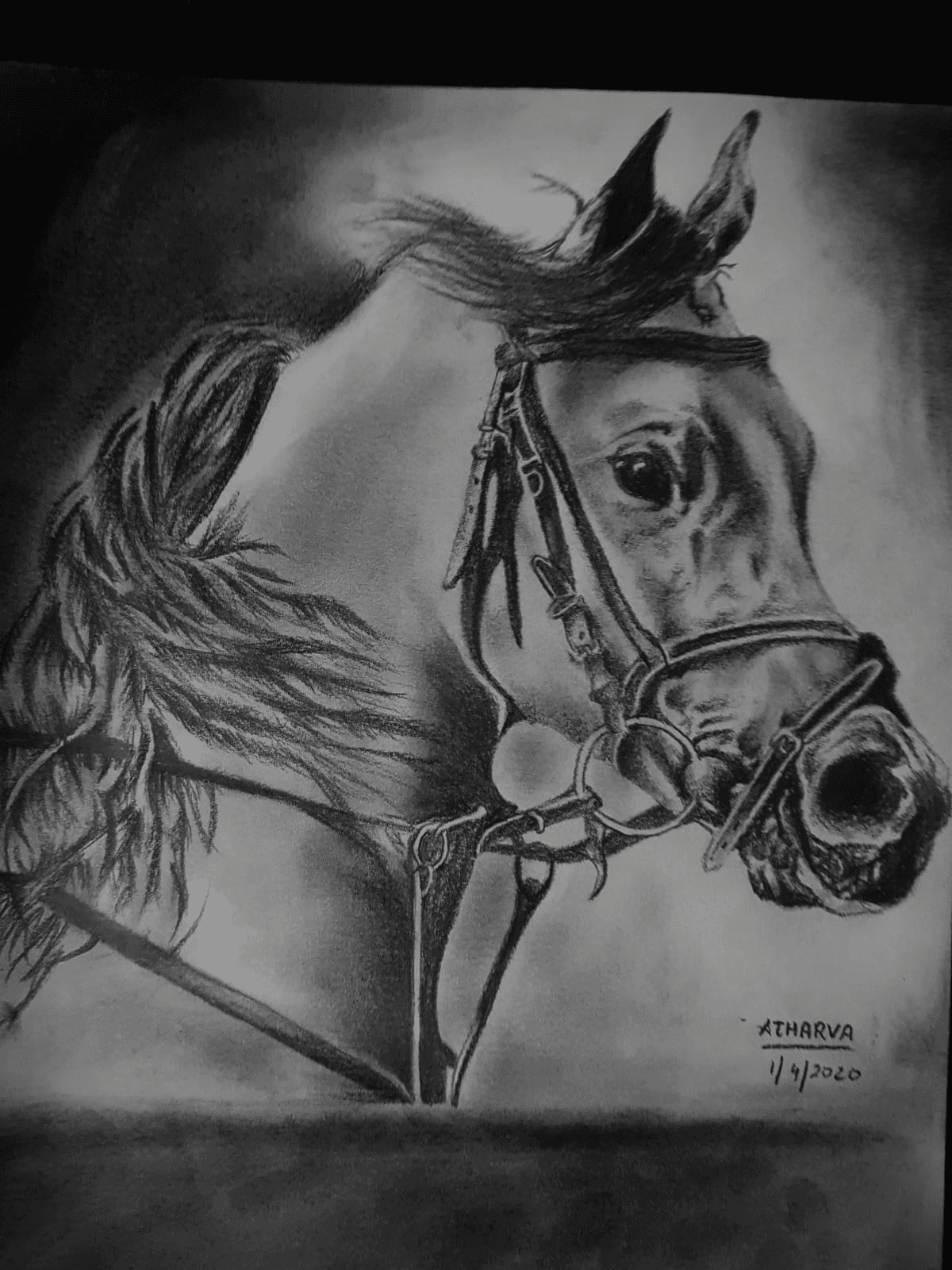 Horse