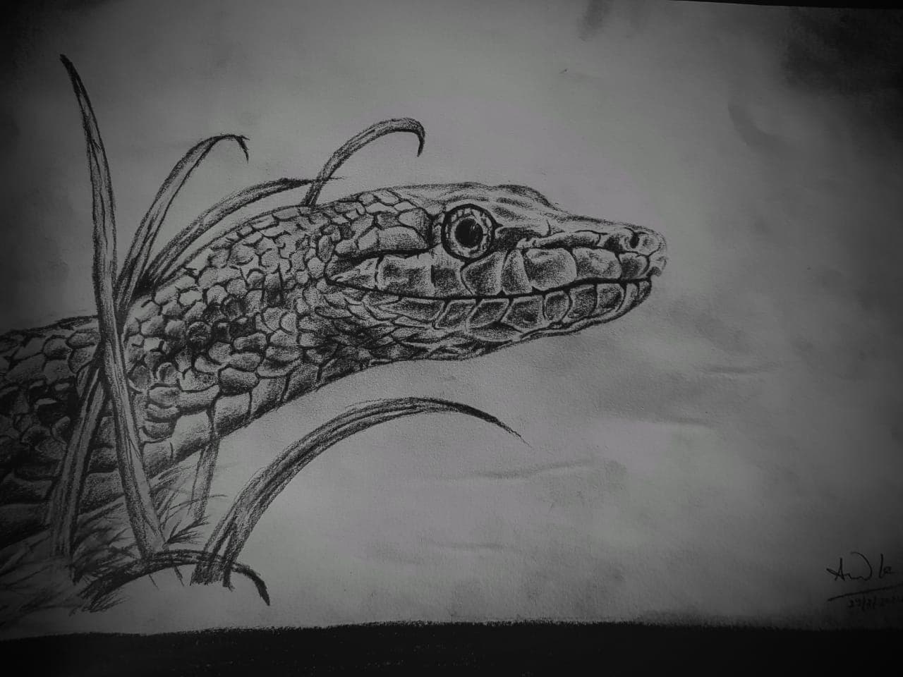 Snake